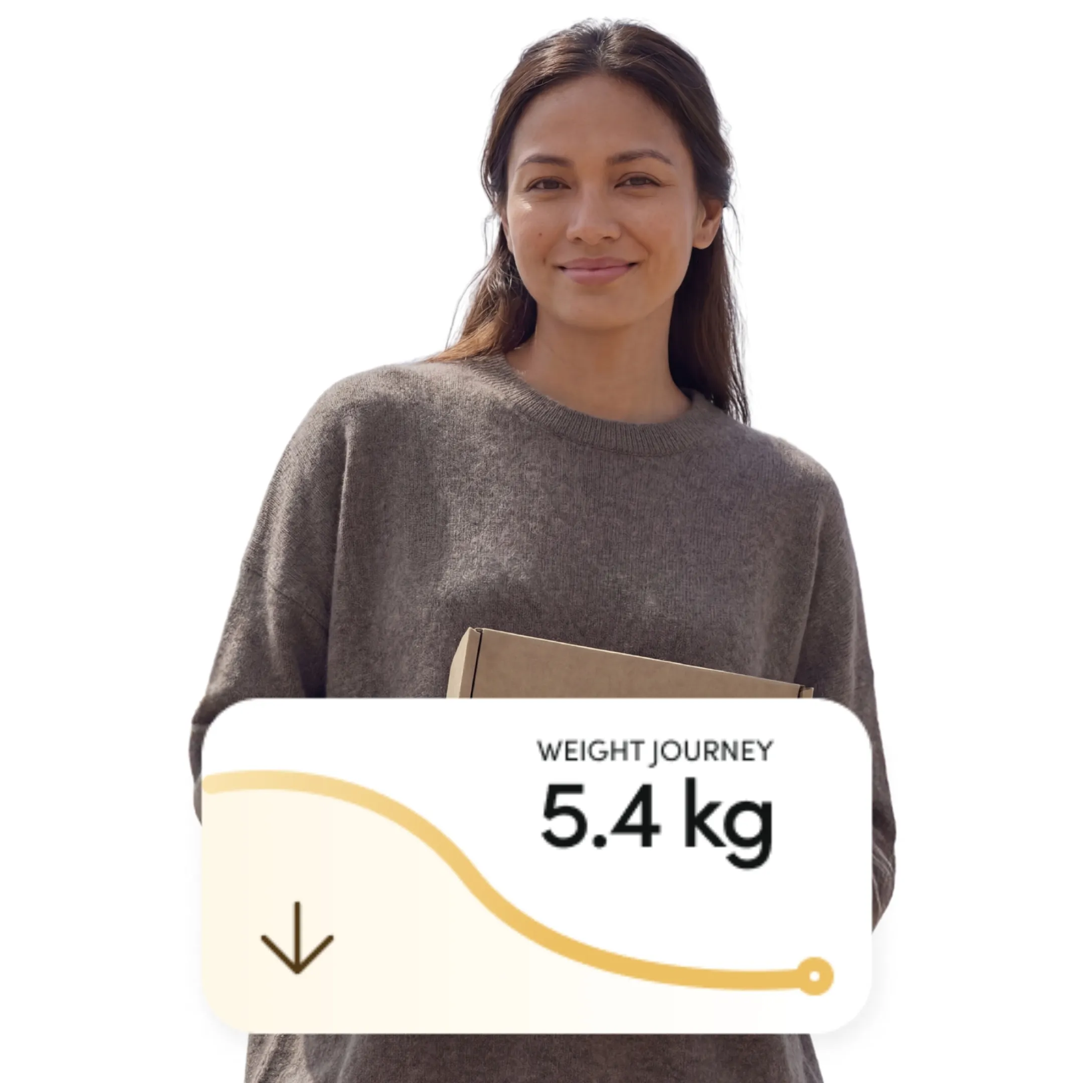 Weight Journey Desktop
